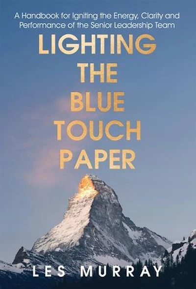 Lighting the Blue Touch Paper: A Handbook for Igniting the Energy, Clarity and Performance of the Senior Leadership Team