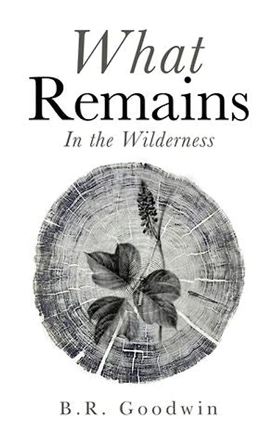What Remains: The Wilderness