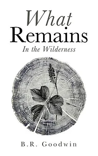 What Remains: The Wilderness
