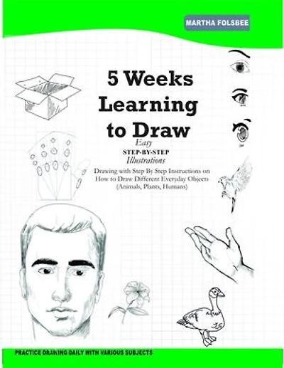 5 Weeks Learning to Draw