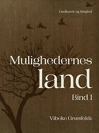 Mulighedernes land. Bind 1