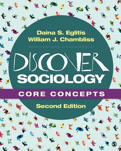 DISCOVER SOCIOLOGY: CORE CONCE PTS