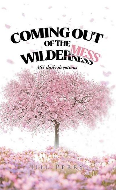 Coming Out of the WilderMess: 365 daily devotional