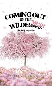 Coming Out of the WilderMess: 365 daily devotional