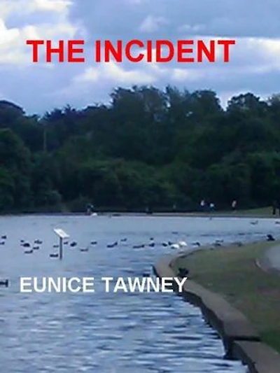 The Incident