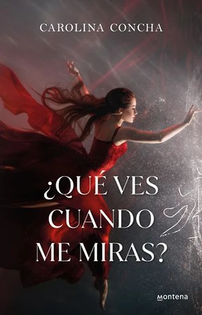 ¿Qué ves cuando me miras? / What Do You See When Look at Me?