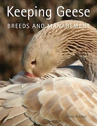Keeping Geese: Breeds And Management
