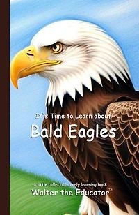 It's Time to Learn about Bald Eagles