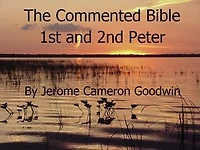 1st and 2nd Peter: An In-Depth Bible Study Platform
