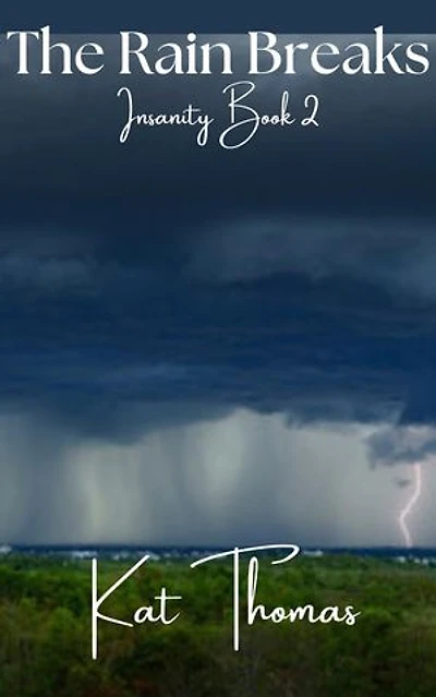 The Rain Breaks: Insanity Novella(Max POV), #2