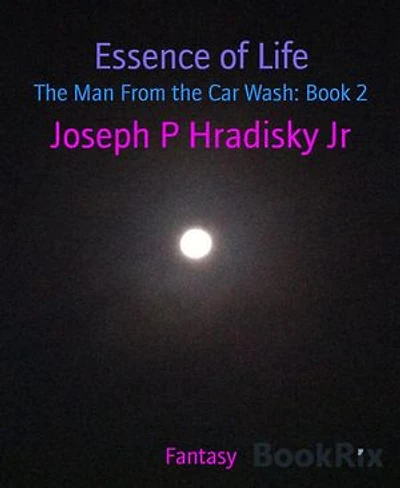 Essence of Life: The Man From the Car Wash: Book 2