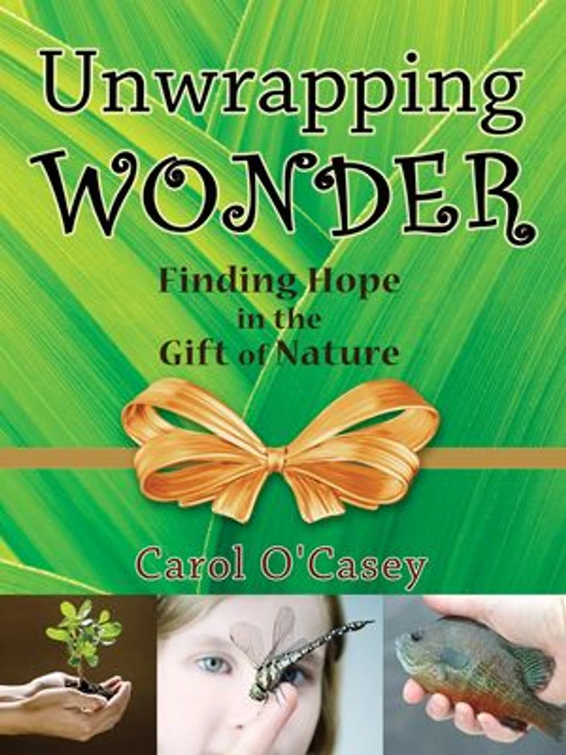 Unwrapping Wonder: Finding Hope the Gift of Nature