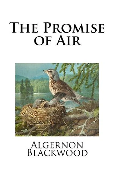 The Promise of Air