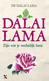 Zijn wie je werkelijk bent: het boeddhistische pad naar zelfkennis