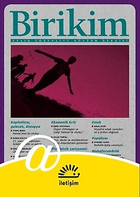 Birikim Sayı 357