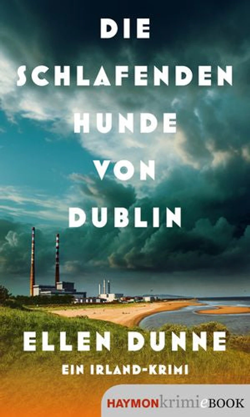 Die schlafenden Hunde von Dublin: Ein Irland-Krimi