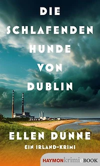 Die schlafenden Hunde von Dublin: Ein Irland-Krimi