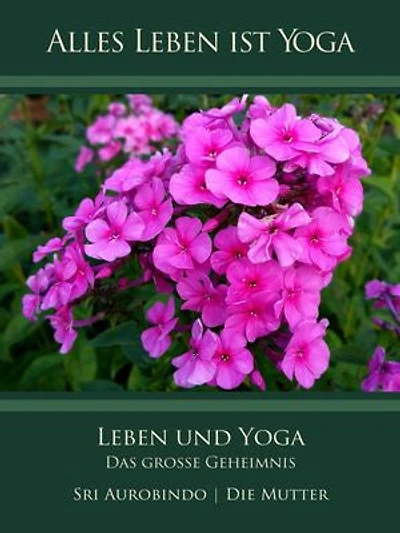 Leben und Yoga: Das große Geheimnis