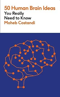 50 Human Brain Ideas You Really Need to Know