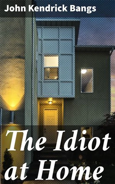 The Idiot at Home: A Humorous Look at Domestic Absurdity