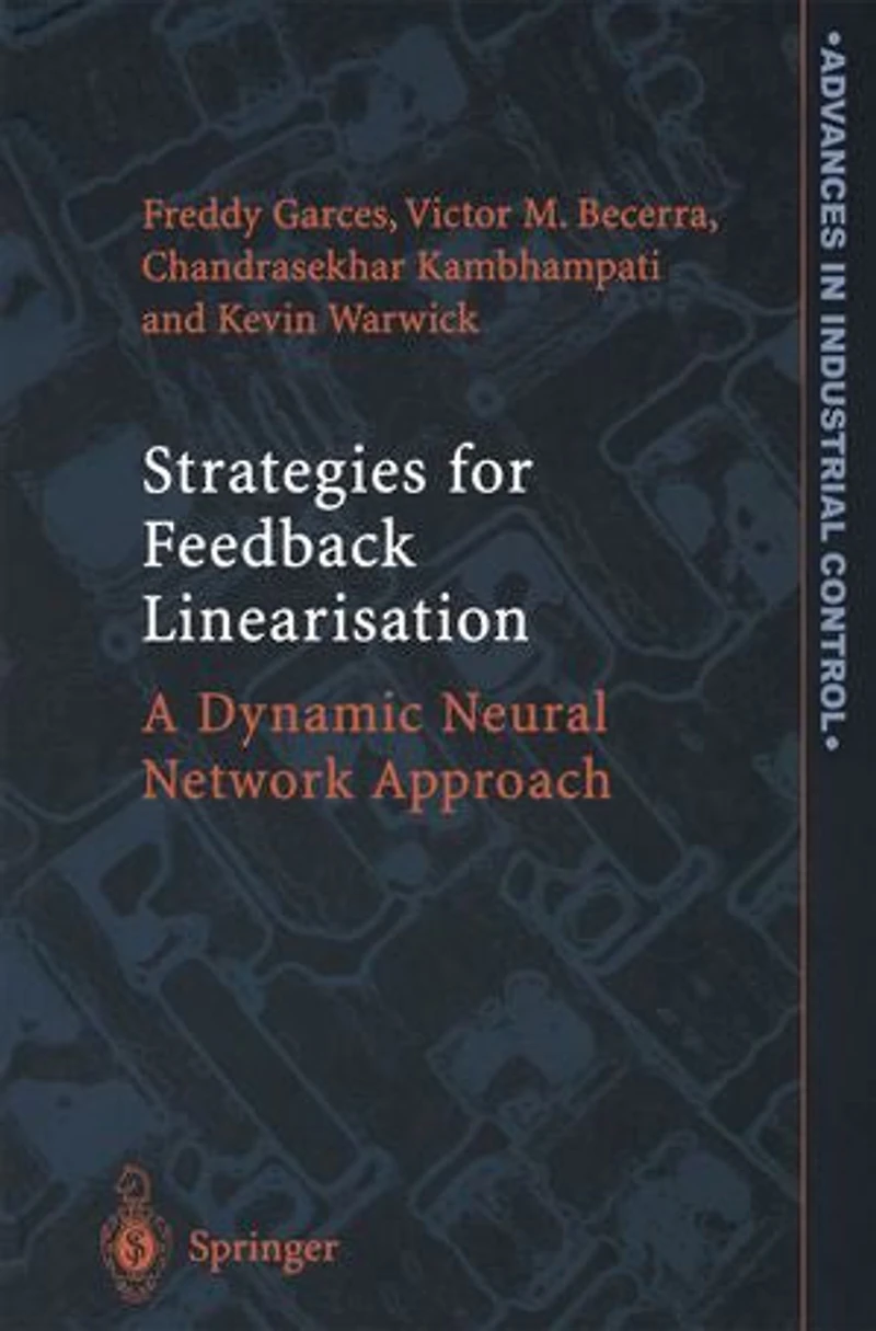 Strategies For Feedback Linearisation: A Dynamic Neural Network Approach