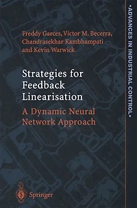 Strategies For Feedback Linearisation: A Dynamic Neural Network Approach