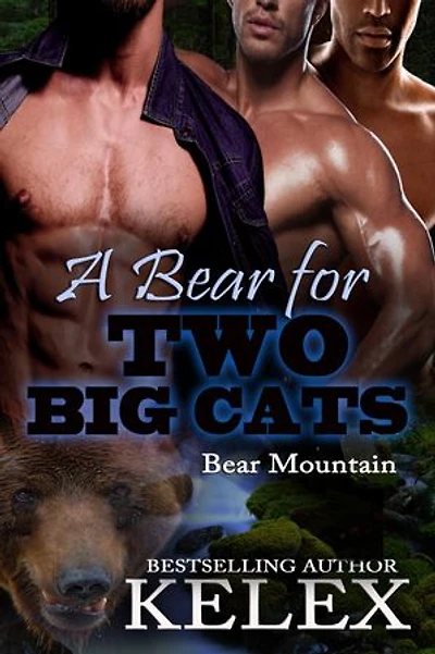 A Bear for Two Big Cats