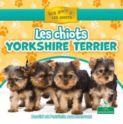 Les chiots yorkshire terrier (Yorkshire Terrier Puppies)