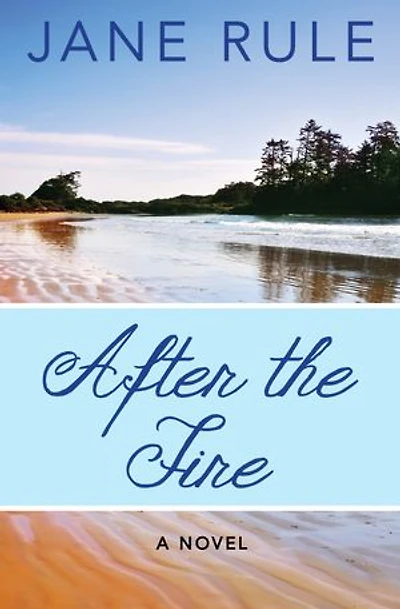 After the Fire: A Novel