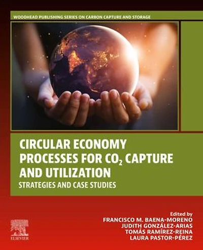 Circular Economy Processes for CO2 Capture and Utilization: Strategies Case Studies