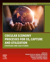 Circular Economy Processes for CO2 Capture and Utilization: Strategies Case Studies