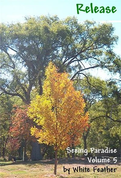Seeing Paradise, Volume 5: Release: Seeing Paradise, #5