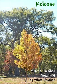 Seeing Paradise, Volume 5: Release: Seeing Paradise, #5