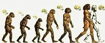SULLA ORIGINE DELLE SPECIE