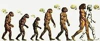 SULLA ORIGINE DELLE SPECIE