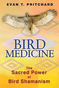 Bird Medicine: The Sacred Power Of Shamanism
