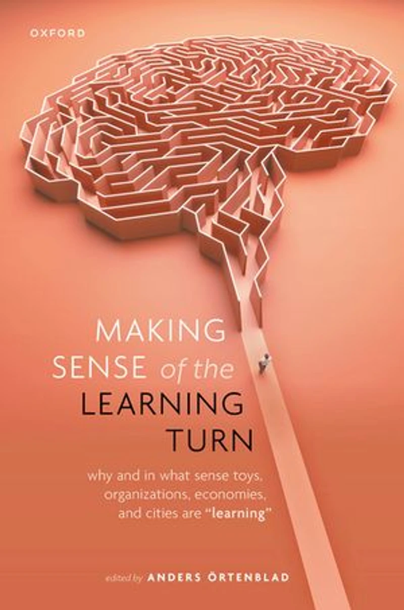 Making Sense of the Learning Turn: Why and What Toys, Organizations, Economies, Cities are "Learning"