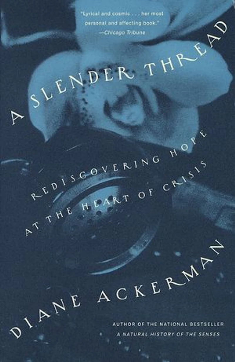 A Slender Thread: Rediscovering Hope At The Heart Of Crisis