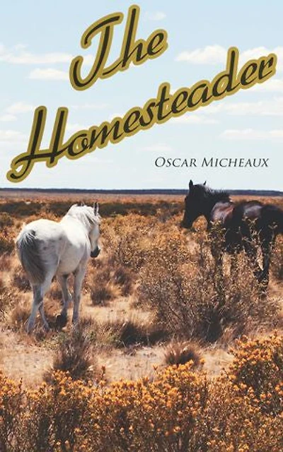 The Homesteader: Western Novel