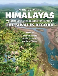 At the Foot of Himalayas: Paleontology and Ecosystem Dynamics Siwalik Record