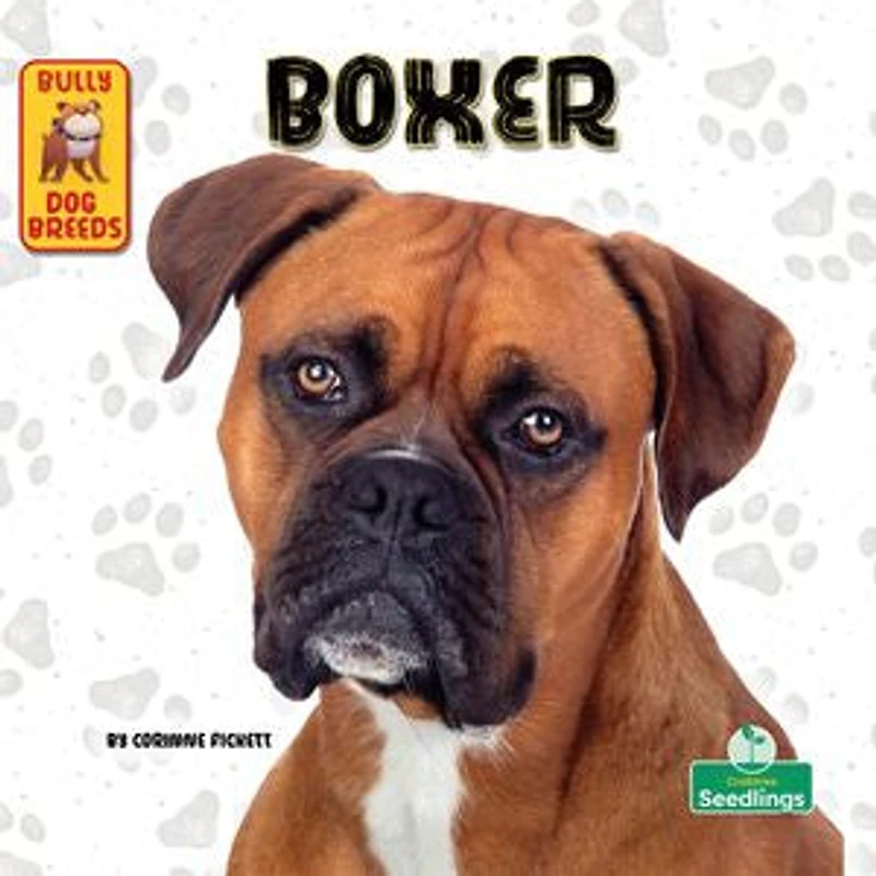 Boxer