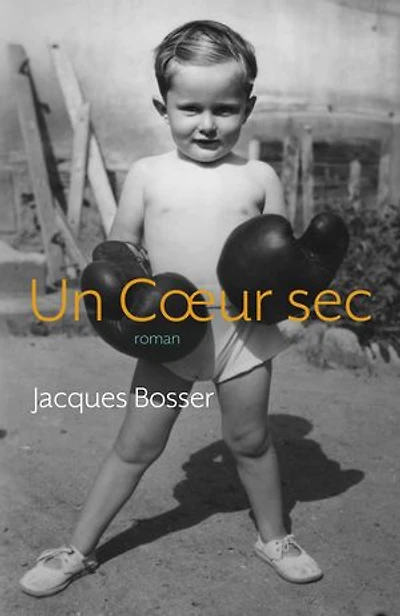 Un Coeur sec: roman