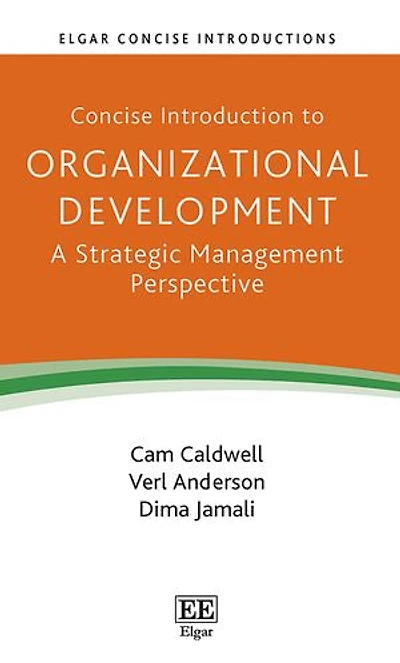 Concise Introduction to Organizational Development: A Strategic Management Perspective