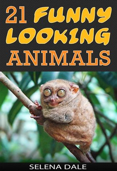 21 Funny Looking Animals: Weird & Wonderful Animals, #7