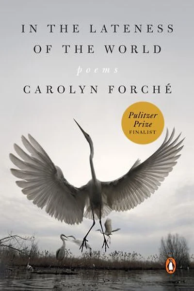 the Lateness of World: Poems