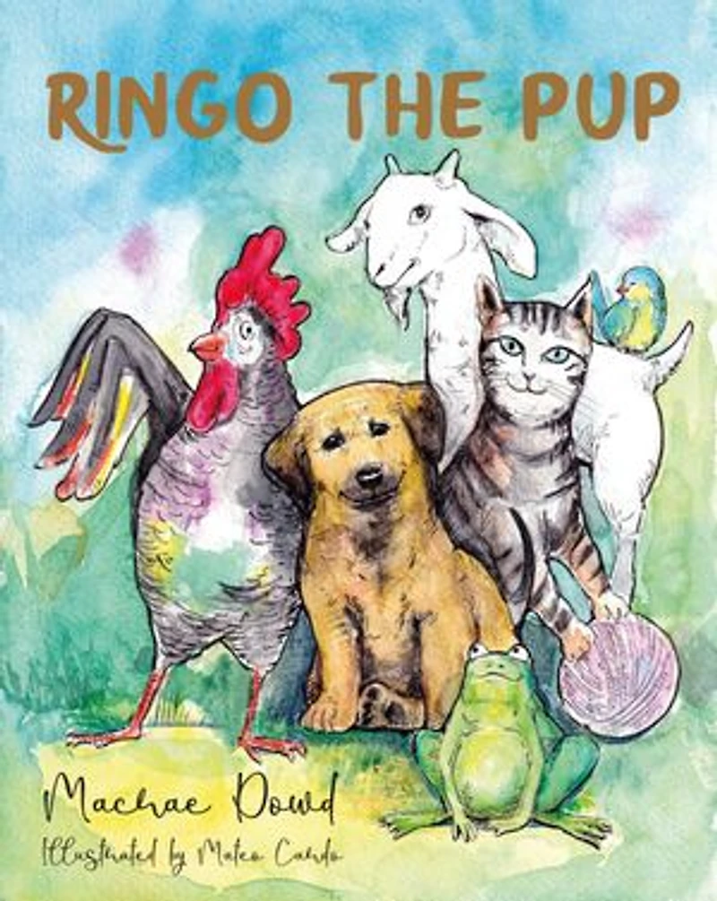 Ringo The Pup