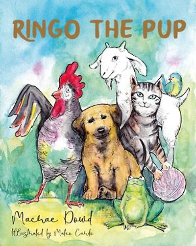 Ringo The Pup