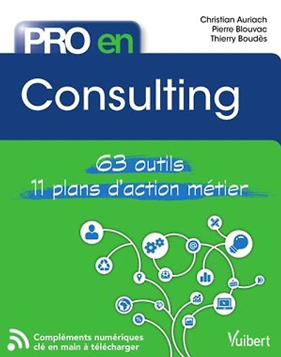 Pro en Consulting