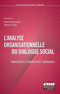 L'analyse organisationnelle du dialogue social: Pratiques et perspectives théoriques
