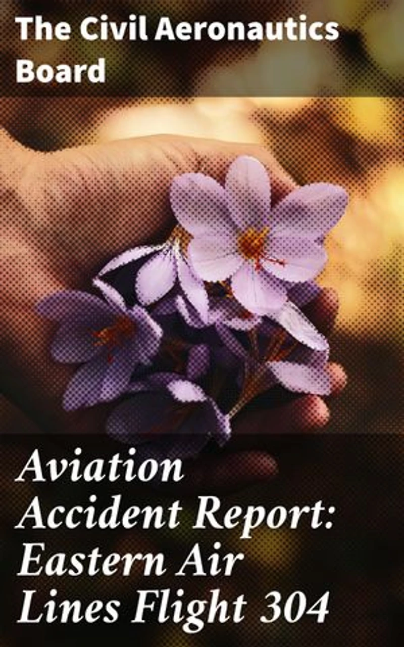 Aviation Accident Report: Eastern Air Lines Flight 304: Enriched edition. Insights into Airline Safety and Accident Investigation